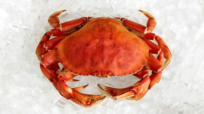 COOKED FRESH Dungeness Crab (WHOLE, Local, Fresh) PER POUND | Lummi