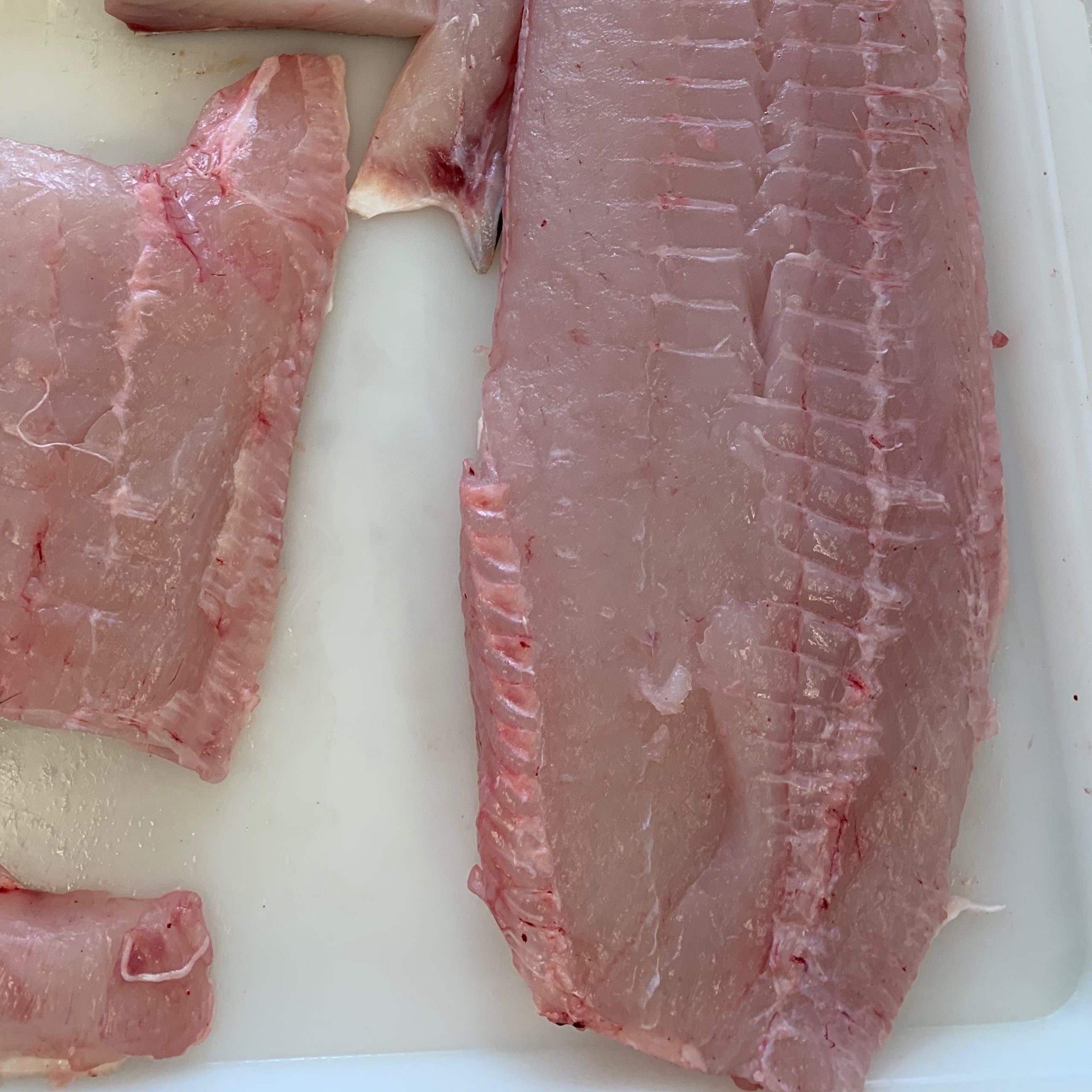 Fresh Halibut FILLETS (FILLETS) Lummi Seafood Market